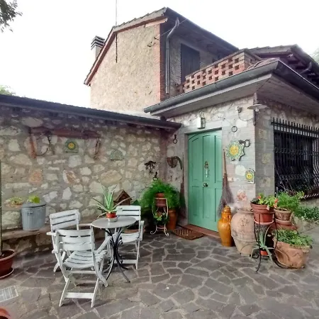 Tra grilli e cicale-2